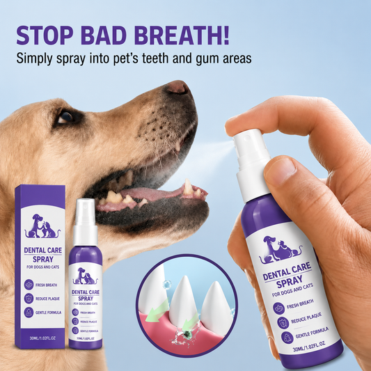 No-Brushing Pet Oral Spray for Dogs & Cats🐾