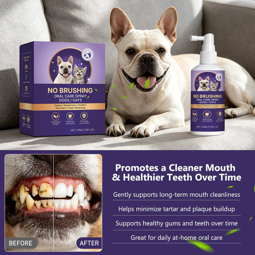 🍃No-Brushing Oral Care Spray for Dogs & Cats