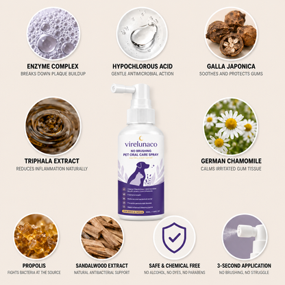 🔥Teeth Cleaning Spray with Oral Probiotics for Dogs & Cats