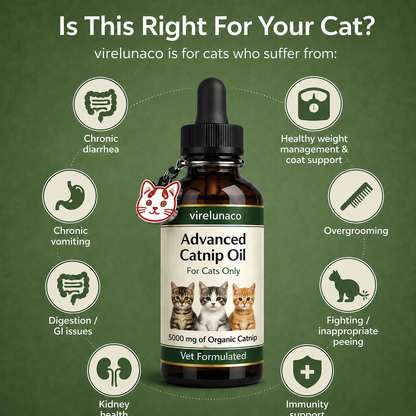 Advanced Catnip Oil